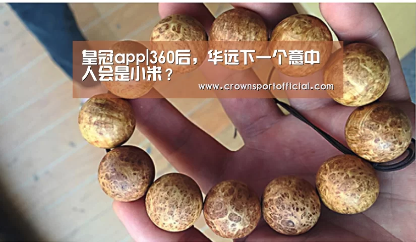 皇冠app|360后,华远下一个意中人会是小米?(图3) 皇冠app|360后,华远下一个意中人会是小米?(图3)