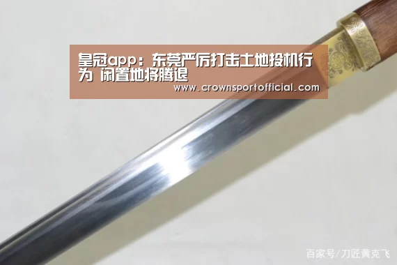 皇冠app:东莞严厉打击土地投机行为 闲置地将腾退(图1) 皇冠体育
