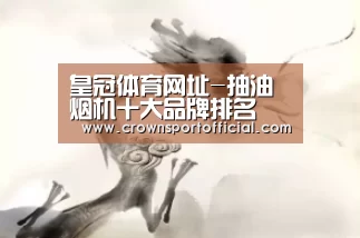 皇冠体育网址-抽油烟机十大品牌排名(图2)