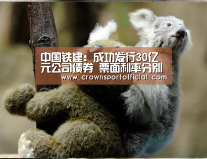 中国铁建:成功发行30亿元公司债券 票面利率分别为3.90%和4.20%‘Crown’(图1) 皇冠体育网址