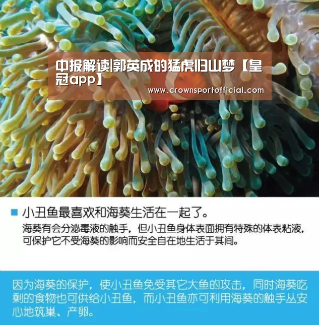 皇冠体育网址