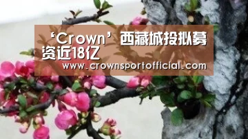 ‘Crown’西藏城投拟募资近18亿(图2) 皇冠体育
