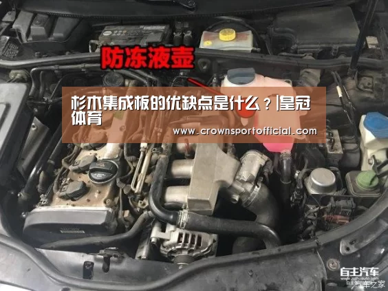 杉木集成板的优缺点是什么?|皇冠体育(图1) 皇冠app