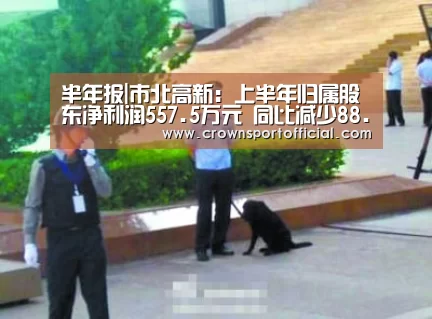 半年报|市北高新:上半年归属股东净利润557.5万元 同比减少88.86%【皇冠体育网址】(图4) 皇冠体育网址