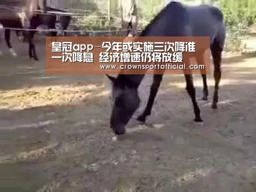 皇冠体育网址